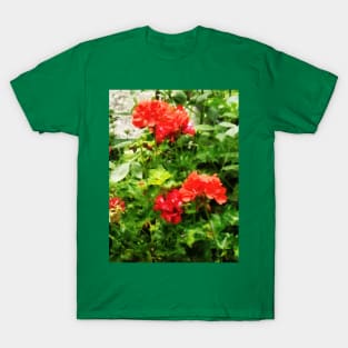 Bright Red Geraniums T-Shirt